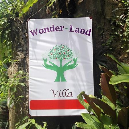 Wonder-Land Villa Ubud Exterior foto